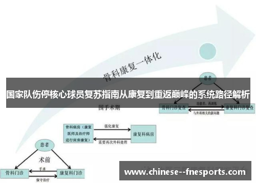 国家队伤停核心球员复苏指南从康复到重返巅峰的系统路径解析