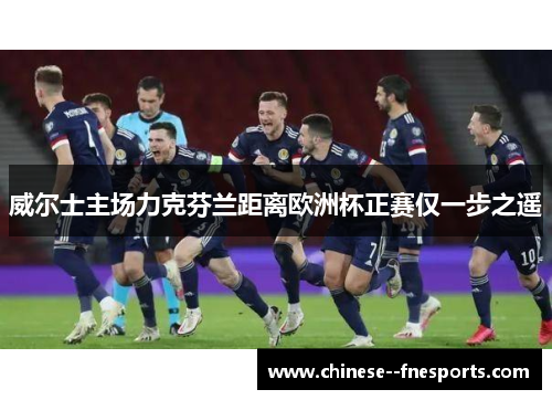 威尔士主场力克芬兰距离欧洲杯正赛仅一步之遥 威尔士主场力克芬兰距离欧洲杯正赛仅一步之遥