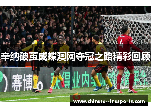 辛纳破茧成蝶澳网夺冠之路精彩回顾