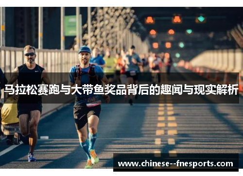 马拉松赛跑与大带鱼奖品背后的趣闻与现实解析